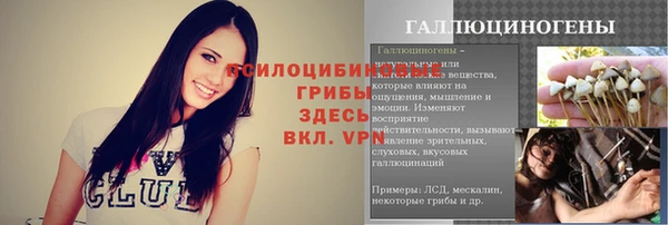 герыч Алзамай