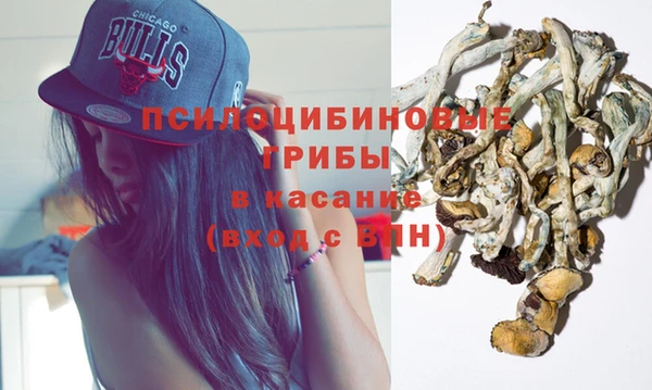 дживик Армянск